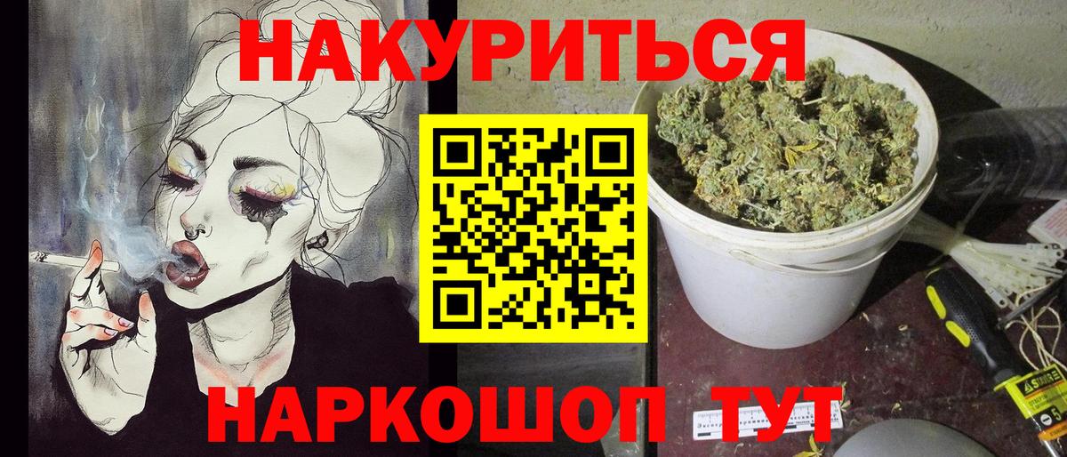 Каннабис план Бердск
